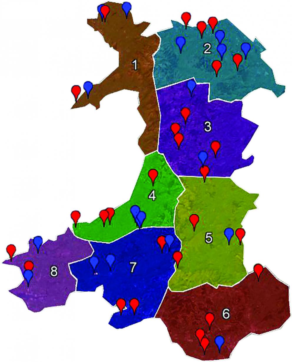 Four grazing experts join the Welsh Pasture Project for 2021 Farming